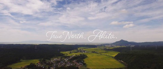 true north akita